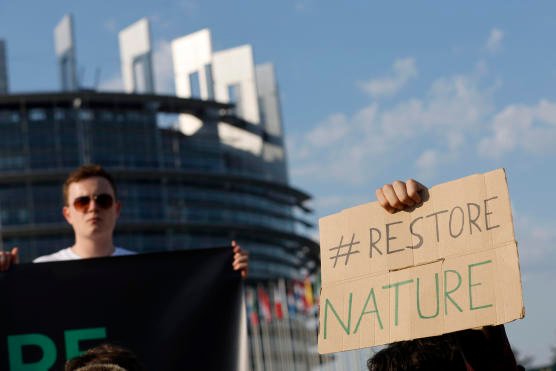 Proiectul de lege privind restabilirea naturii a fost adoptat de Parlamentul European